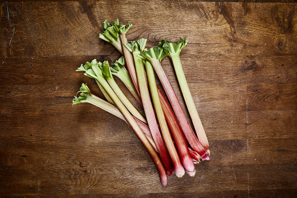 Rhabarber