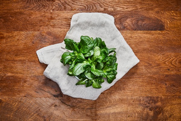Feldsalat
