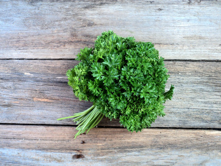 Bio Petersilie, kraus