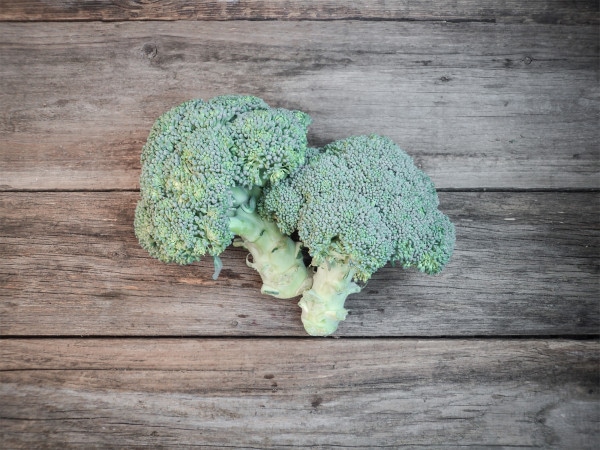 Bio Brokkoli