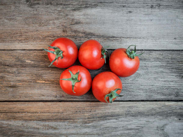Bio Strauchtomaten
