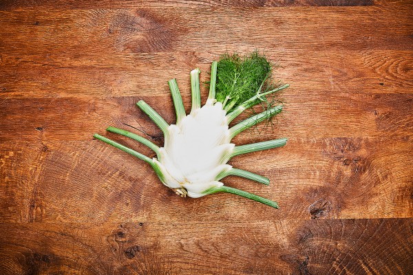 Fenchel
