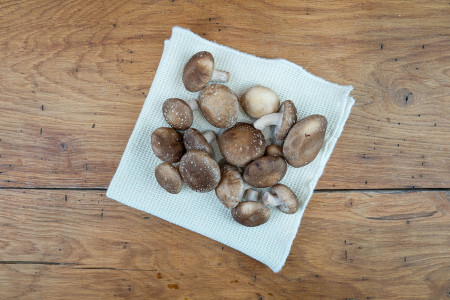 Shiitake