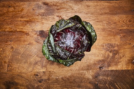 Radicchio
