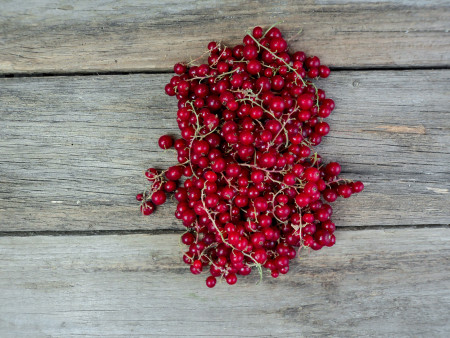 Bio Johannisbeeren, rot