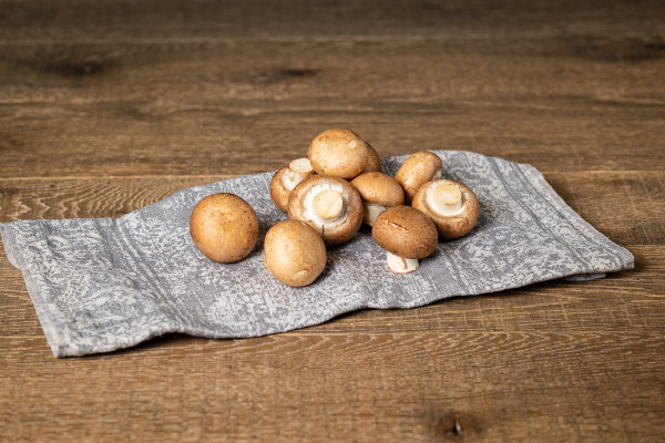 Bio Steinchampignons braun