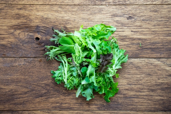 Bio Schnittsalat