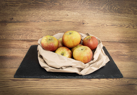 Apfel Gravensteiner