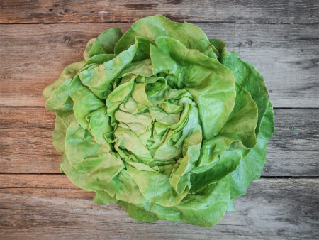 Bio Kopfsalat, grün