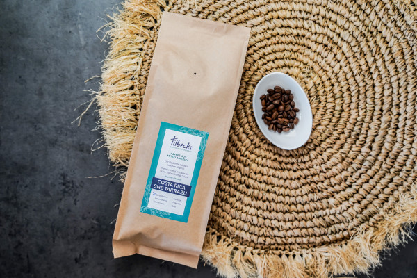 Costa Rica SHB Tarrazu, Röstfrische Bohnen, 500g