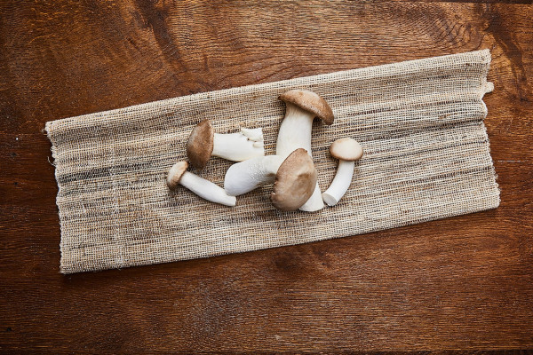 Bio Kräuterseitlinge regional