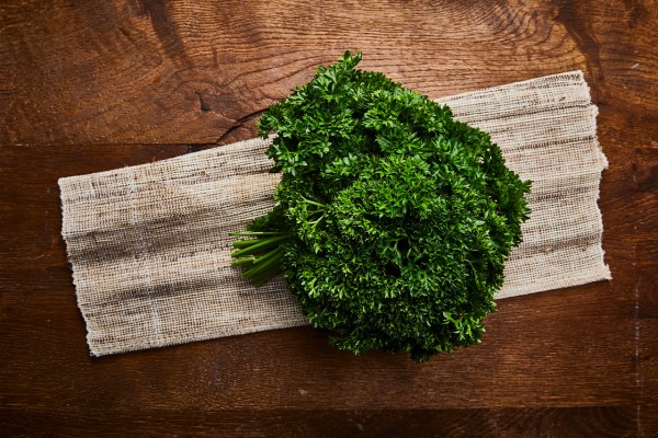 Krause Petersilie Schnitt