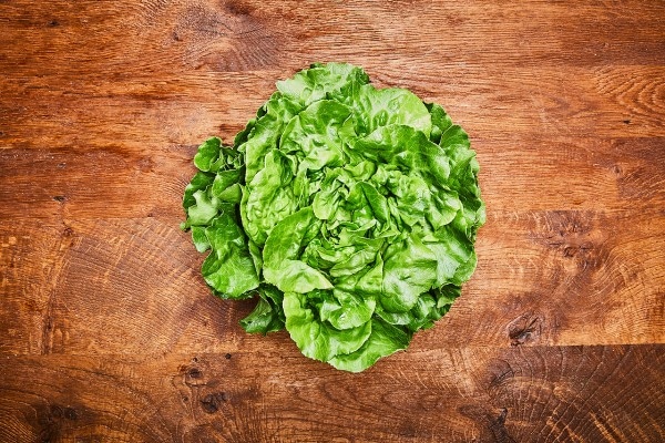 Kopfsalat