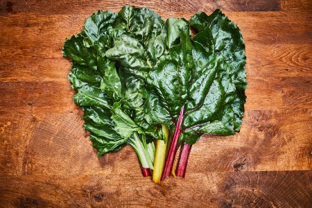 Mangold bunt gemischt