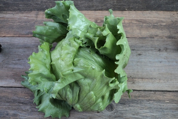 Bio Eissalat