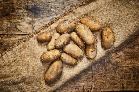 Kartoffel Annabelle neue Ernte