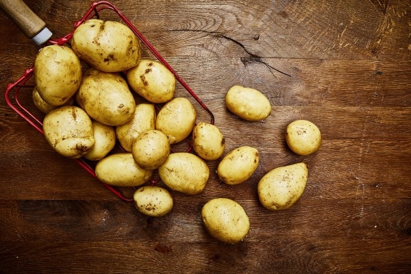 Kartoffeln Gala (mehlig)