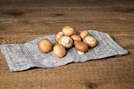 Bio Steinchampignons braun