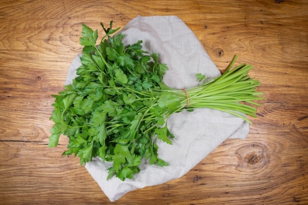 Blattpetersilie Großes Bund