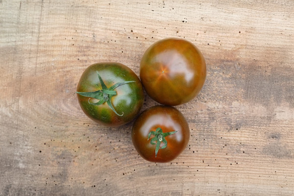 Bio Kakao Tomate